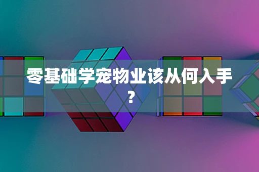 零基础学宠物业该从何入手？