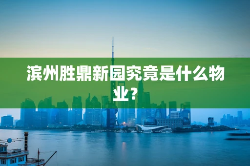 滨州胜鼎新园究竟是什么物业？