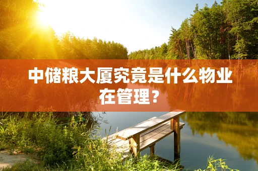 中储粮大厦究竟是什么物业在管理？