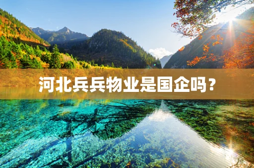 河北兵兵物业是国企吗？