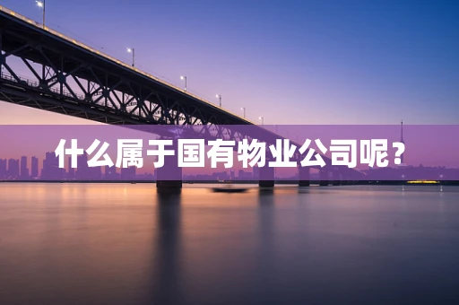 什么属于国有物业公司呢？