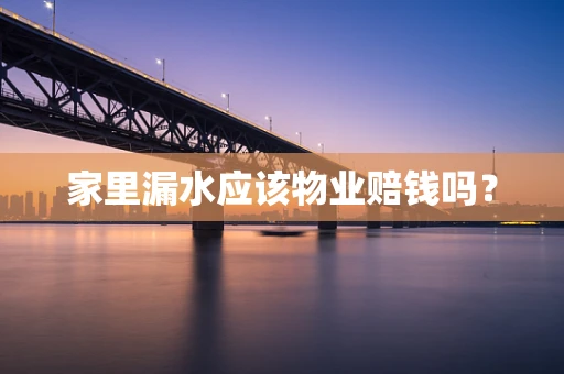 家里漏水应该物业赔钱吗？