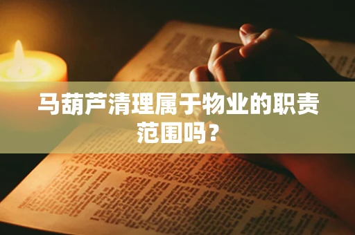 马葫芦清理属于物业的职责范围吗？