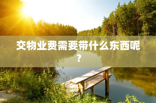 交物业费需要带什么东西呢？