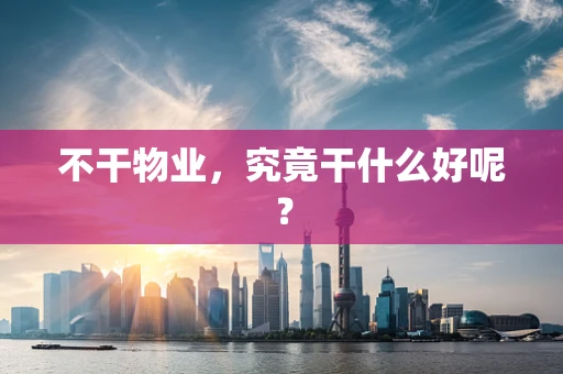 不干物业，究竟干什么好呢？
