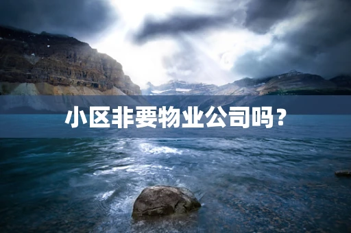 小区非要物业公司吗？