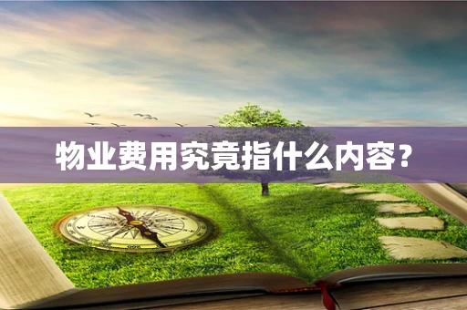 物业费用究竟指什么内容？