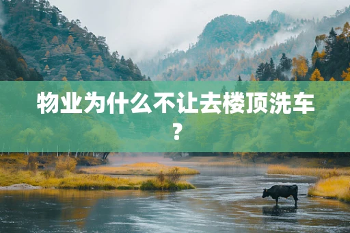 物业为什么不让去楼顶洗车？