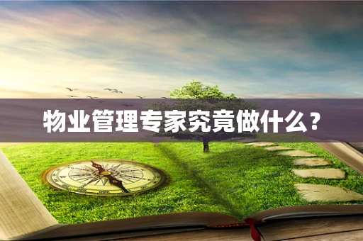 物业管理专家究竟做什么？