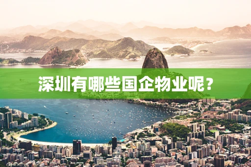 深圳有哪些国企物业呢？