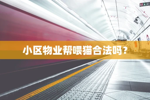 小区物业帮喂猫合法吗？