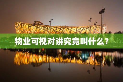 物业可视对讲究竟叫什么？