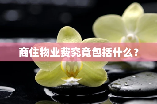 商住物业费究竟包括什么？