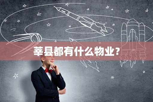 莘县都有什么物业？