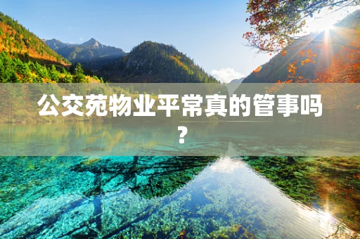 公交苑物业平常真的管事吗？