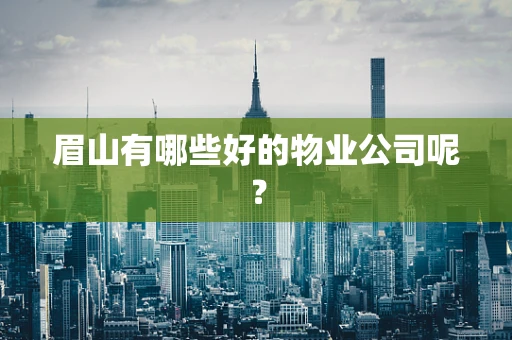 眉山有哪些好的物业公司呢？