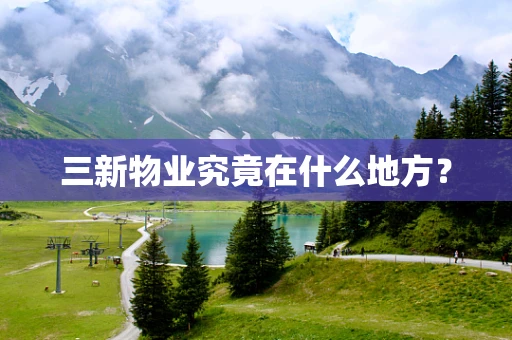 三新物业究竟在什么地方？
