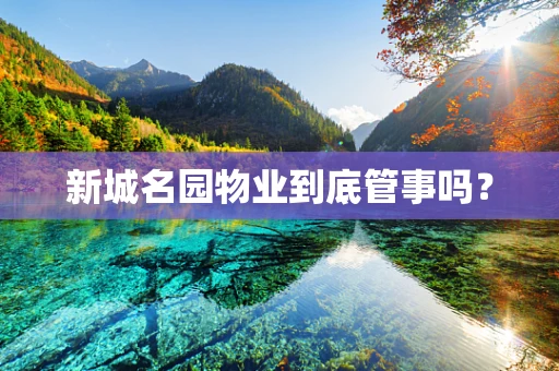 新城名园物业到底管事吗？
