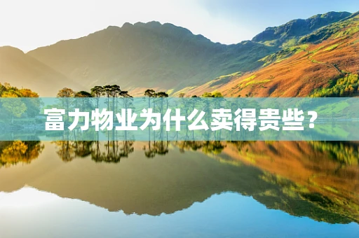 富力物业为什么卖得贵些？