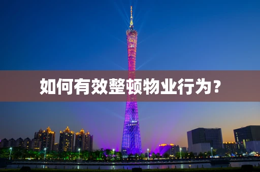 如何有效整顿物业行为？