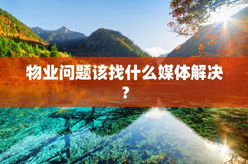 物业问题该找什么媒体解决？