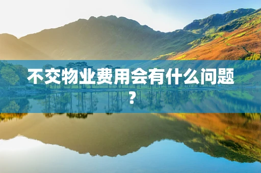 不交物业费用会有什么问题？