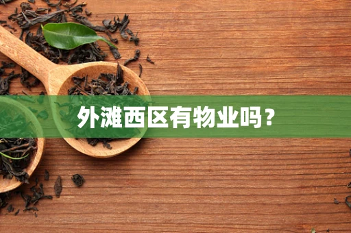 外滩西区有物业吗？