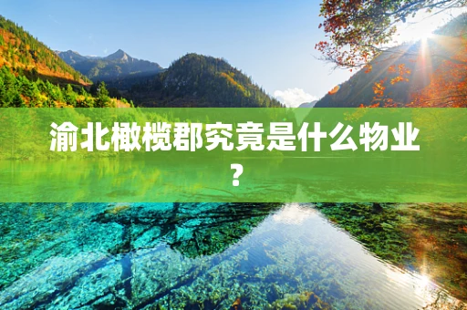 渝北橄榄郡究竟是什么物业？