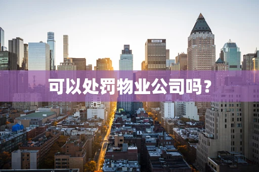 可以处罚物业公司吗？