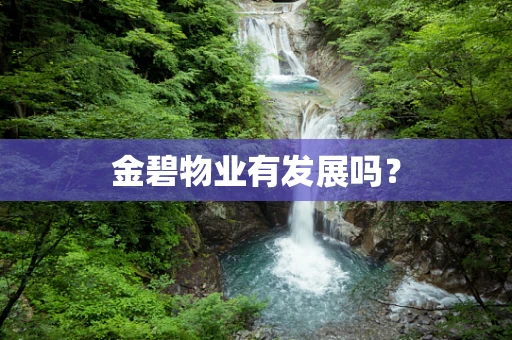 金碧物业有发展吗？