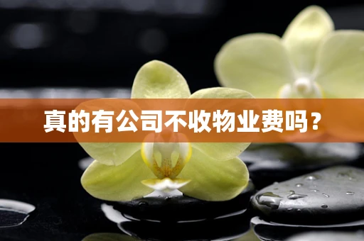 真的有公司不收物业费吗？