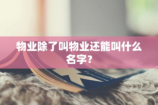 物业除了叫物业还能叫什么名字？