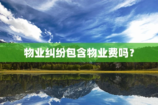 物业纠纷包含物业费吗？