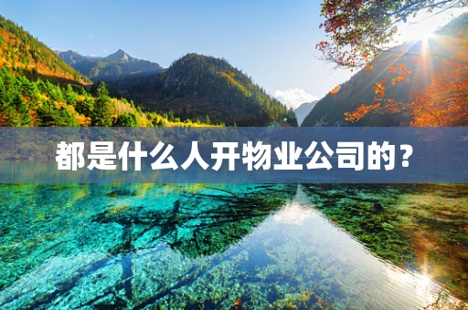 都是什么人开物业公司的？