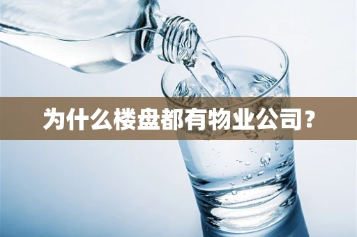为什么楼盘都有物业公司？