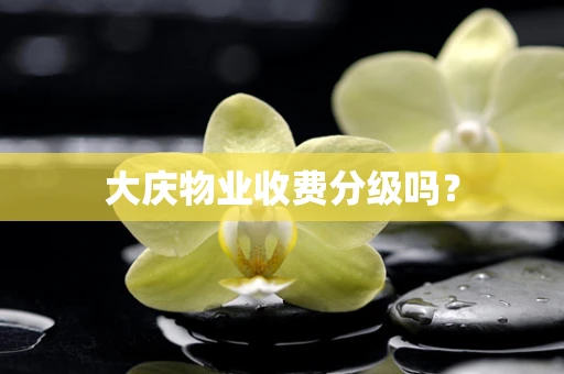 大庆物业收费分级吗？