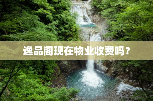 逸品阁现在物业收费吗？