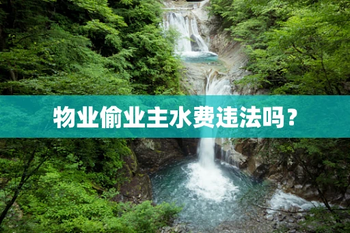 物业偷业主水费违法吗？