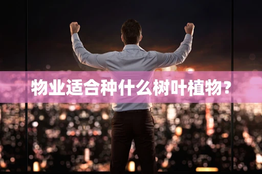 物业适合种什么树叶植物？
