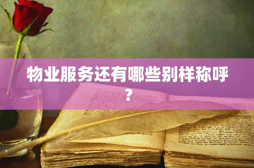 物业服务还有哪些别样称呼？
