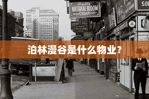 泊林漫谷是什么物业？