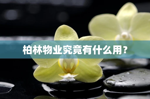 柏林物业究竟有什么用？