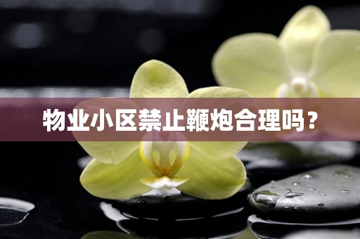 物业小区禁止鞭炮合理吗？