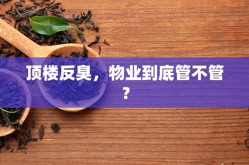 顶楼反臭，物业到底管不管？