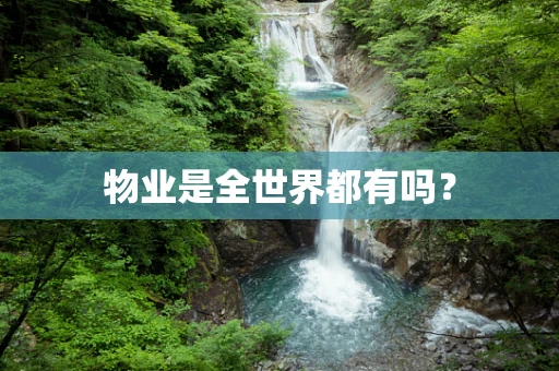 物业是全世界都有吗？