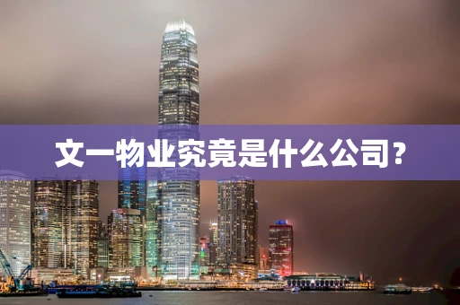 文一物业究竟是什么公司？