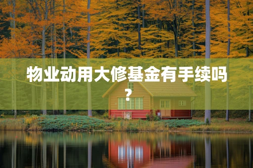 物业动用大修基金有手续吗？