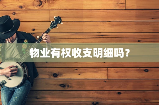 物业有权收支明细吗？