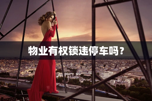 物业有权锁违停车吗？