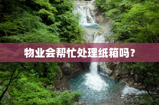 物业会帮忙处理纸箱吗？
